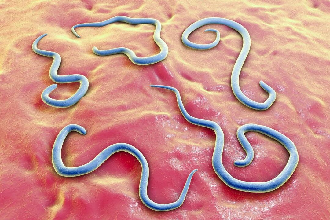 parasitaire wormen in het menselijk lichaam