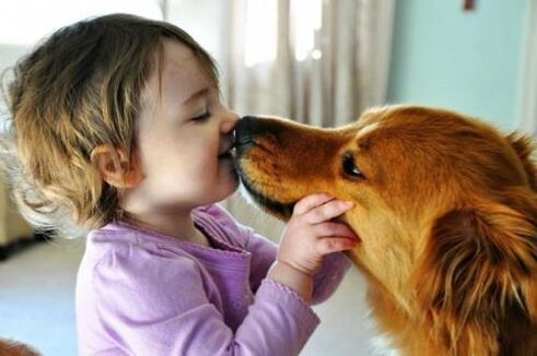 worminfectie van een hond